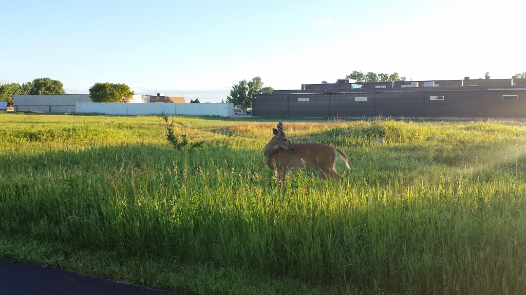 Living Prairie Museum/Park | 2795 Ness Avenue, Winnipeg, MB R3J 3S4 Ness Ave, Winnipeg, MB R3J 3S4, Canada | Phone: (204) 832-0167