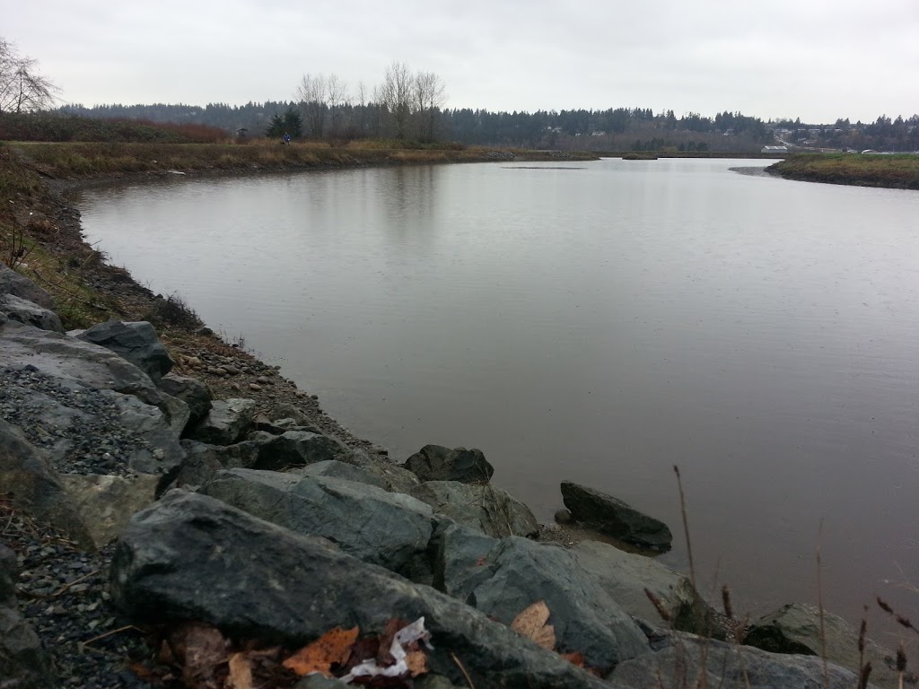 Serpentine Fen Observation Deck | 44 Ave, Surrey, BC V3S 0L2, Canada