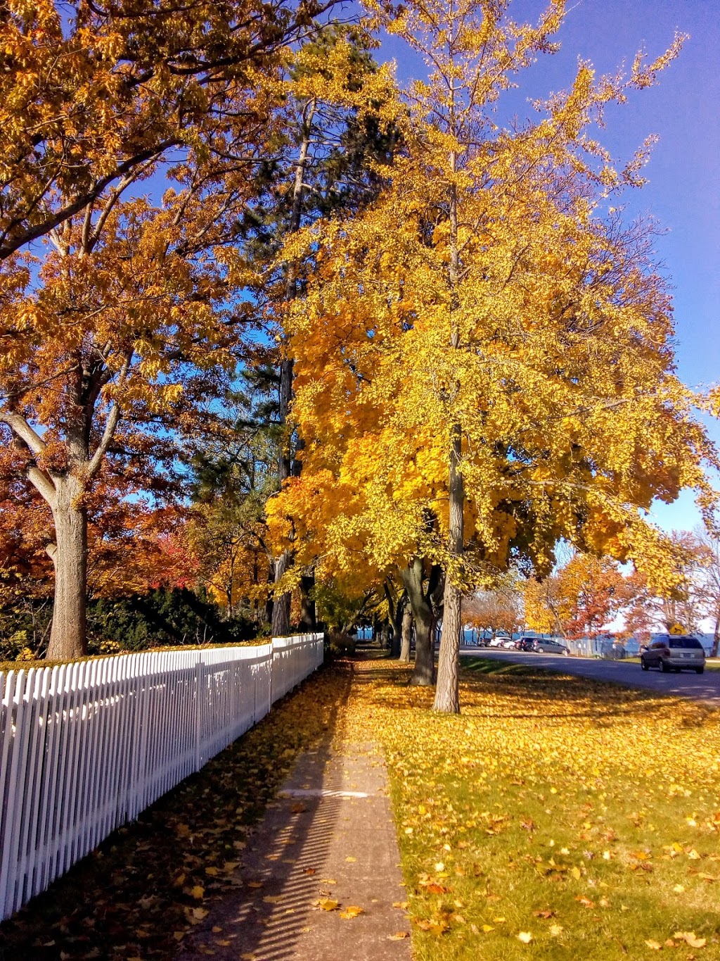 Battlefield of Fort George National Historic Site | 454 Queen St, Niagara-on-the-Lake, ON L0S 1J0, Canada | Phone: (905) 468-6614