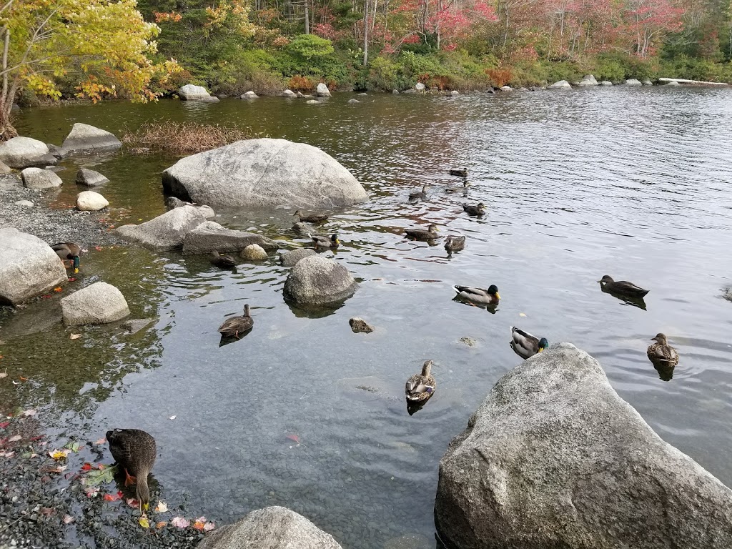 Frog Pond Park | Purcells Cove Rd, Halifax, NS B3P, Canada