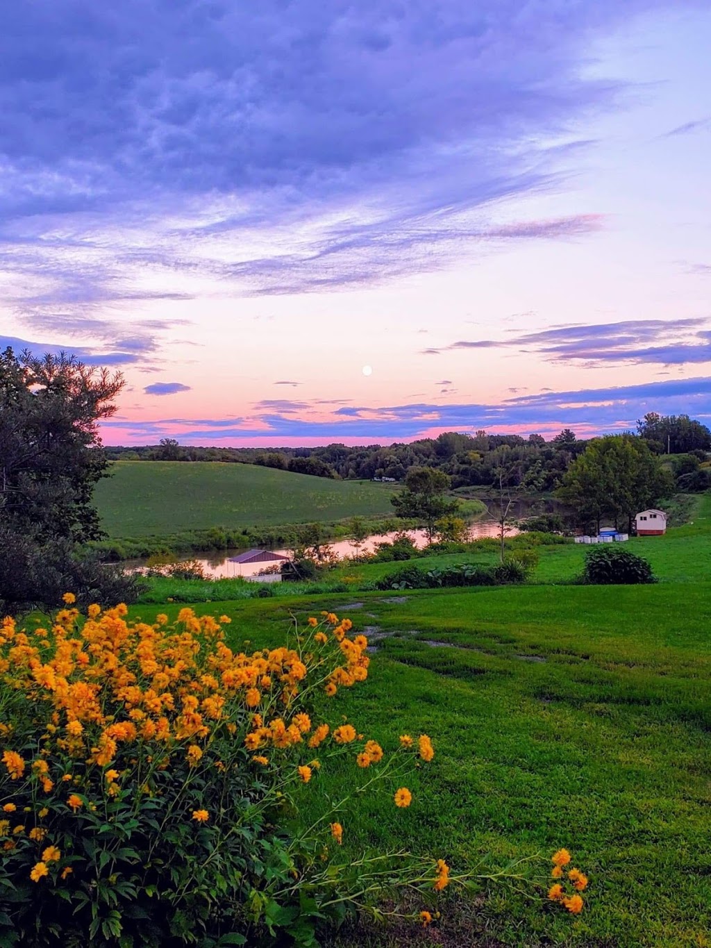 La Terre du Coin - Ferme Maraîchère | 805 Rang Saint Alexis, Nicolet, QC J3T 1T5, Canada | Phone: (819) 293-7359