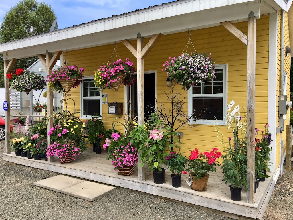 Neilys Greenhouse and Gardens | 10139 Nova Scotia Trunk 1, Paradise, NS B0S 1R0, Canada | Phone: (902) 824-1144