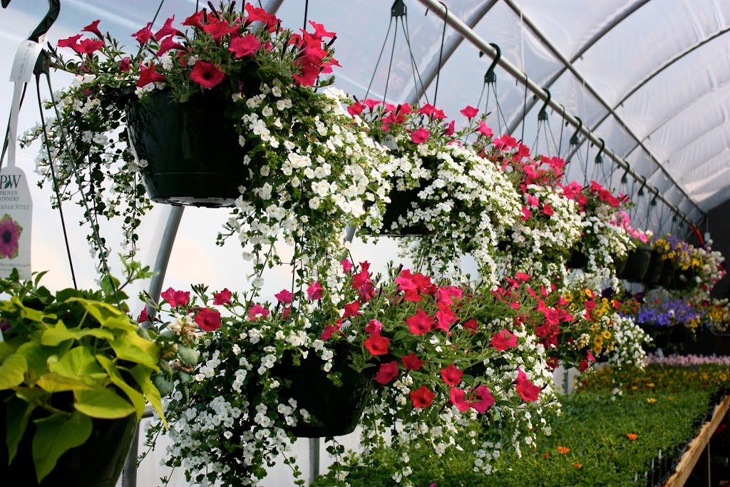 Estate Gardens Greenhouse | 52333 Range Rd 224, Sherwood Park, AB T8C 1B9, Canada | Phone: (780) 922-6329