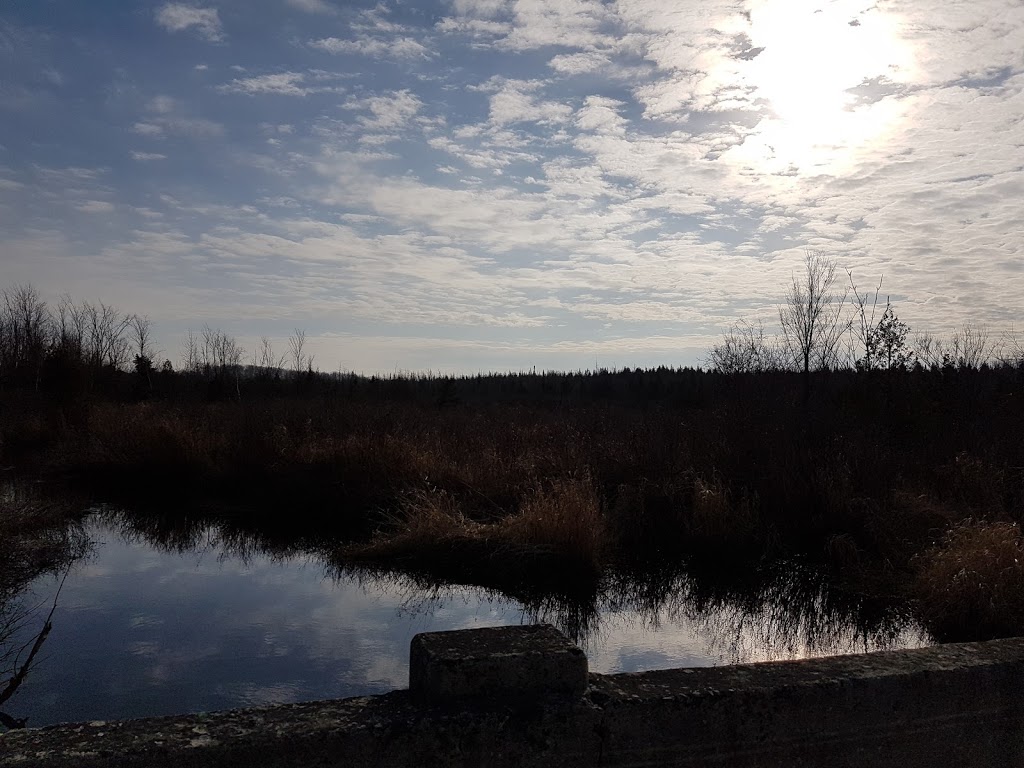 Osprey Wetlands | Badjeros, ON N0C 1A0, Canada