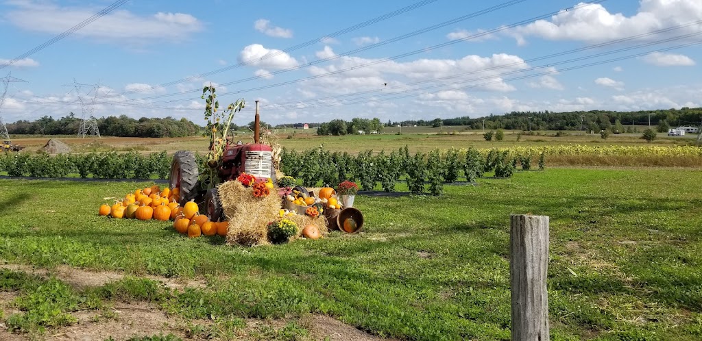 Les jardins de Lévis | 400 Chem. Saint-Roch, Lévis, QC G6Y 0V6, Canada | Phone: (418) 833-5107