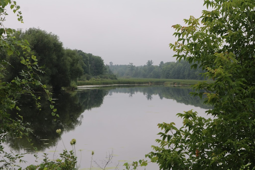 Beaver Pond | Beaver Pond Trail, Kanata, ON K2K, Canada