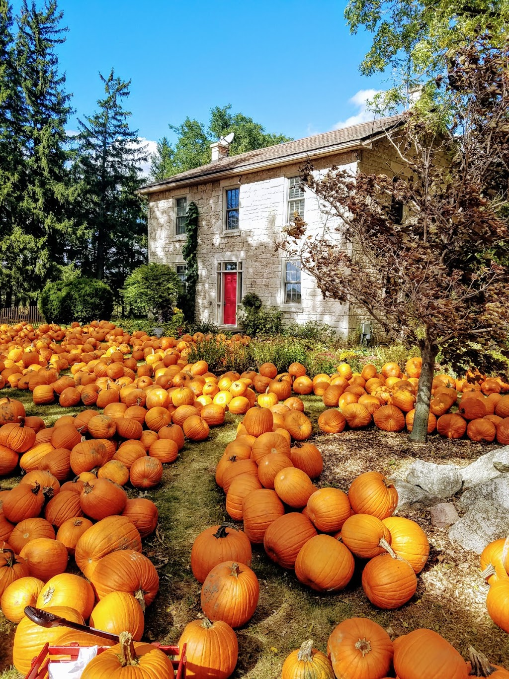 Stroms Farm & Bakery | 5089 Wellington Rd 32, Guelph, ON N1H 6J4, Canada | Phone: (519) 822-1070