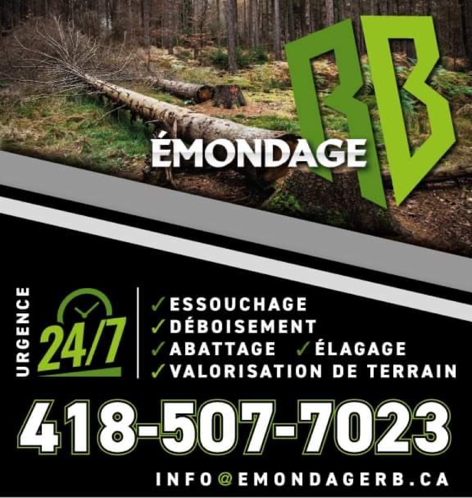 Émondage RB | 810 Rue St Jacques, Sainte-Thècle, QC G0X 3G0, Canada | Phone: (418) 507-7023