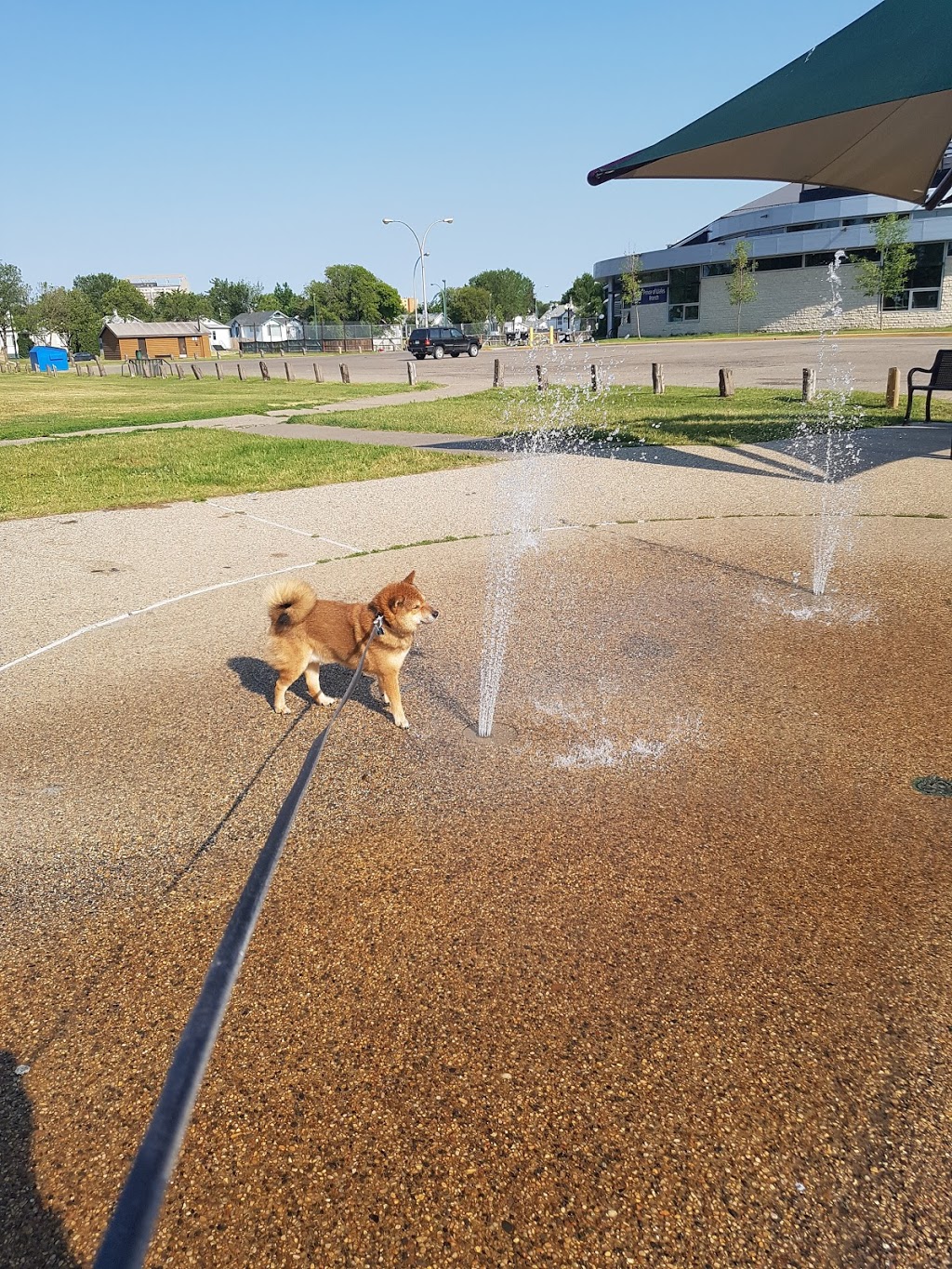 Al Ritchie Outdoor Spray Park | Lindsay St & 15 Ave E, Regina, SK S4N 3C3, Canada | Phone: (306) 777-7000