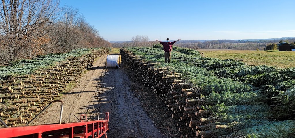 Georgian Bay Tree Farms | 6073 Line 4 N, Oro-Medonte, ON L4R 4K3, Canada | Phone: (647) 278-3225