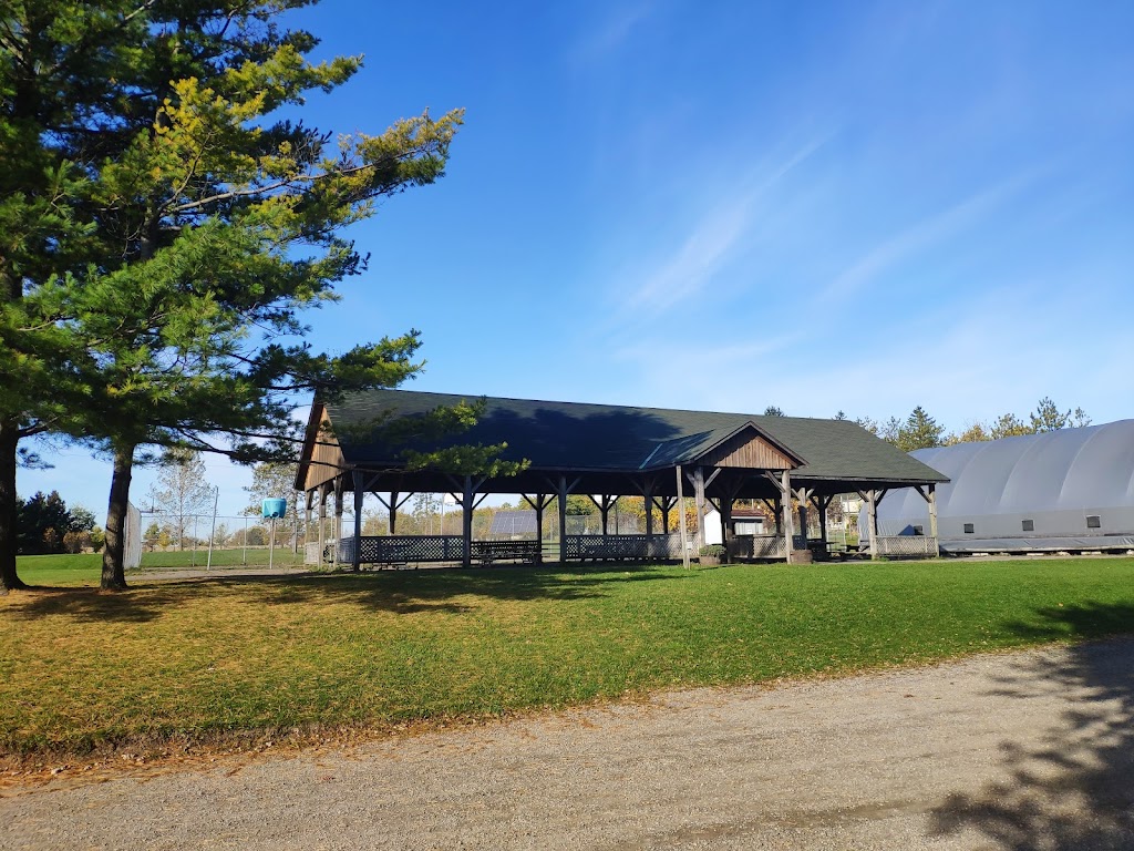 Willowgrove Farm, Day Camp, and Nature School | 11737 McCowan Rd, Whitchurch-Stouffville, ON L4A 4C3, Canada | Phone: (905) 640-2127