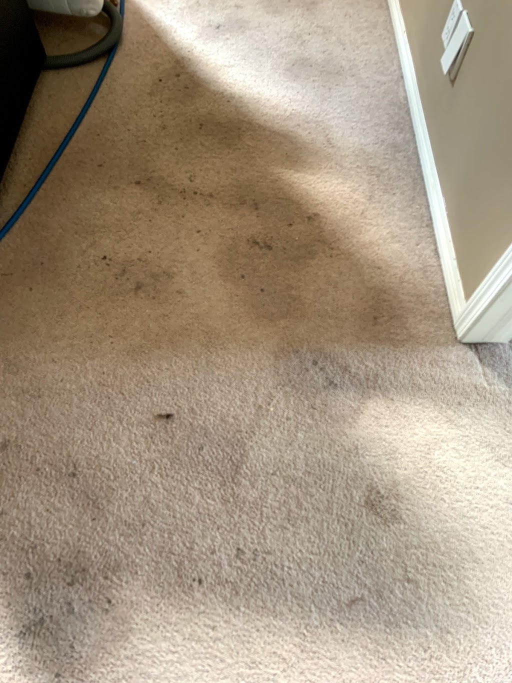 Aboveallcarpetandupholsterycleaning.com | 11 Paradise Acre, Chestermere, AB T1X 0M9, Canada | Phone: (403) 618-8123