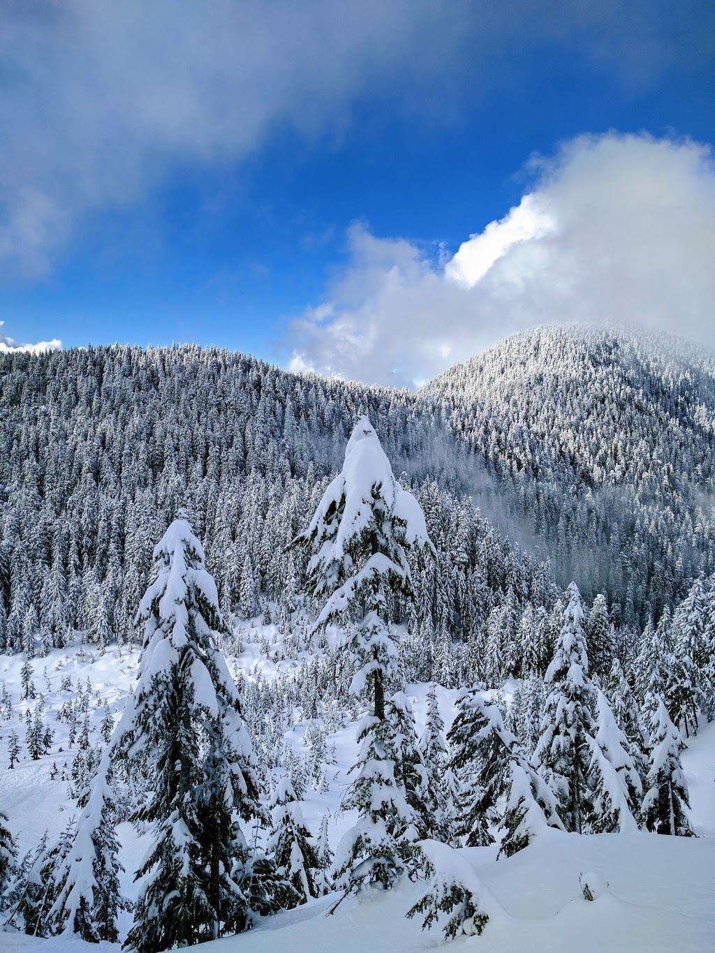 Howe Sound Crest Trail | West Vancouver, BC V0N 1G0, Canada