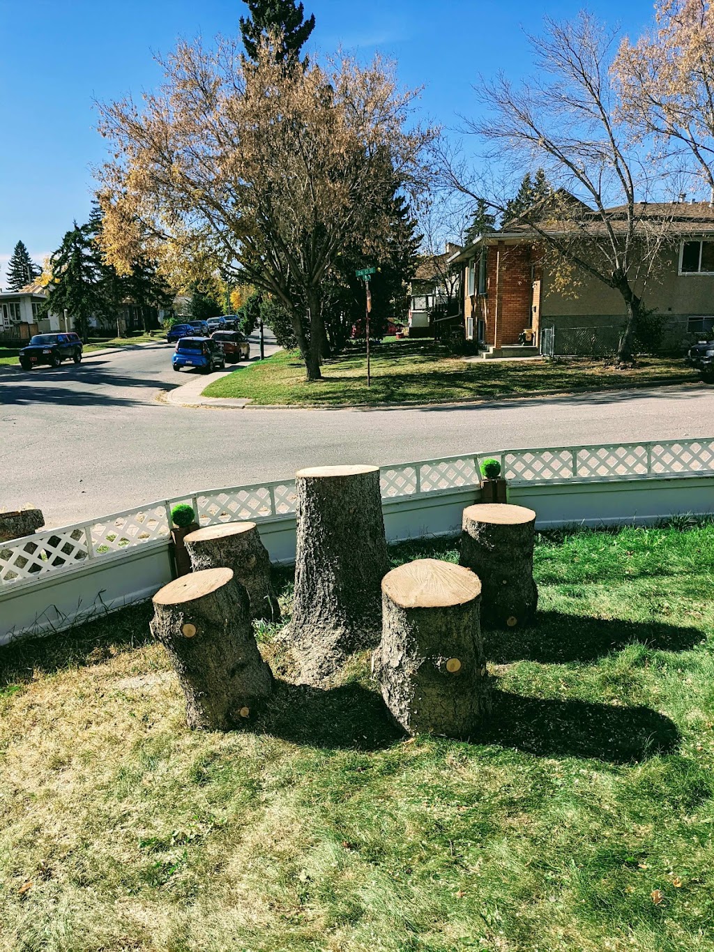 True North Tree Services Inc. | 212 Willow St, Cochrane, AB T4C 0Y8, Canada | Phone: (403) 690-1269