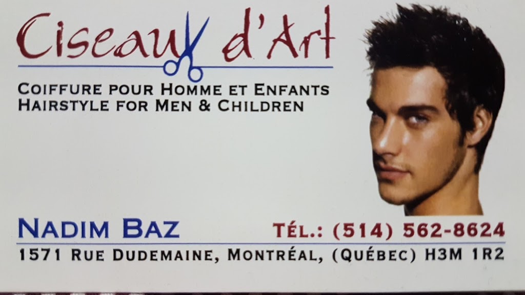 Ciseaux dArt | 1571 Rue Dudemaine, Montréal, QC H3M 1R2, Canada | Phone: (514) 562-8624