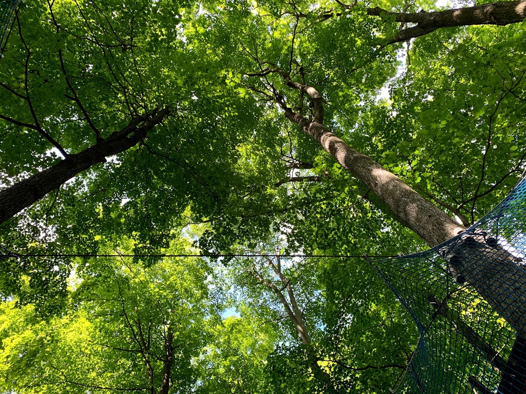 Treetop Trekking Stouffville | 3291 Stouffville Rd, Whitchurch-Stouffville, ON L4A 7X5, Canada | Phone: (844) 369-0009