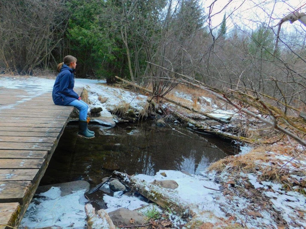 Emily Tract | Peace Rd, Omemee, ON K0L 2W0, Canada