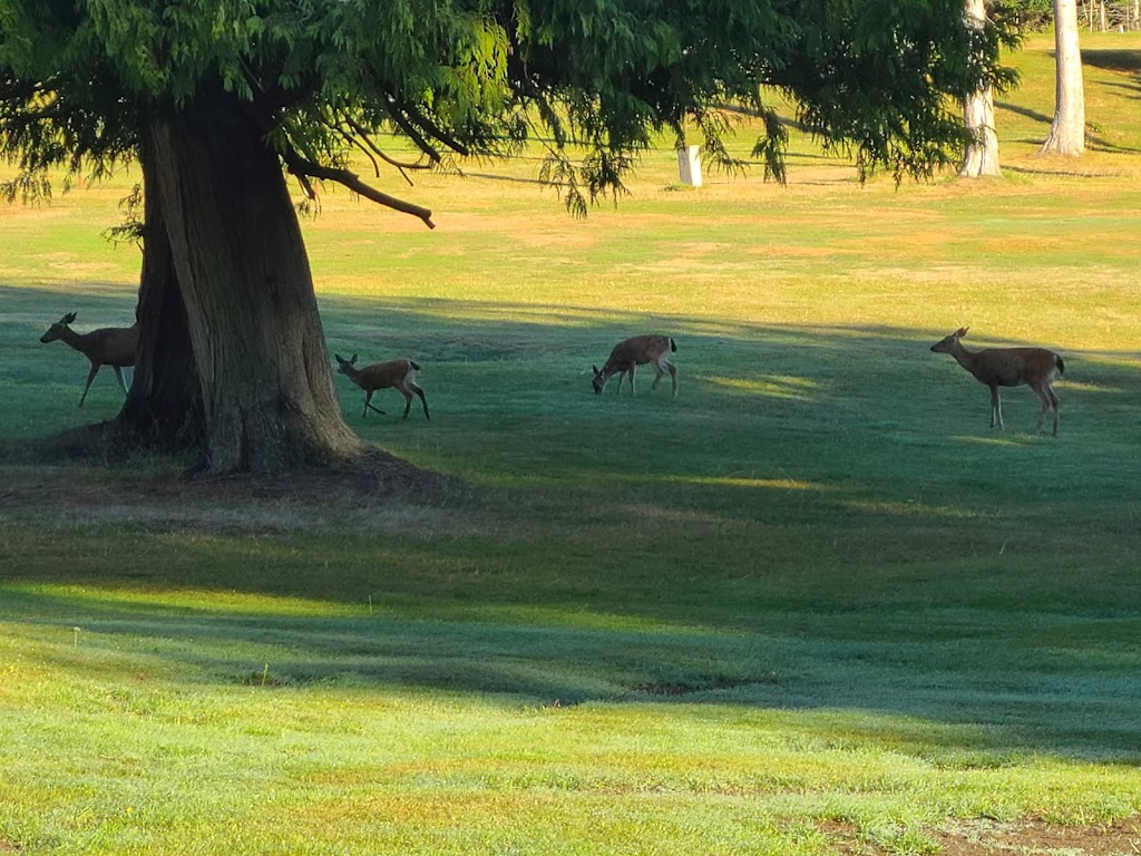 Gabriola Golf & Country Club | 825 South Rd, Gabriola, BC V0R 1X0, Canada | Phone: (250) 247-8822