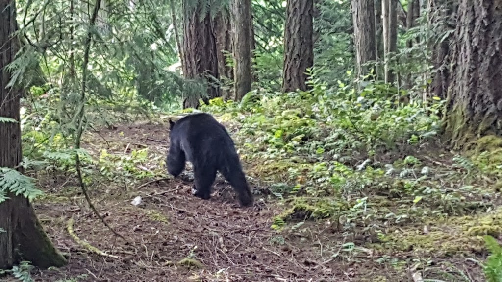 Hidden Valley Mobile Home Park | 2500 Florence Lake Rd, Victoria, BC V9B 4H2, Canada