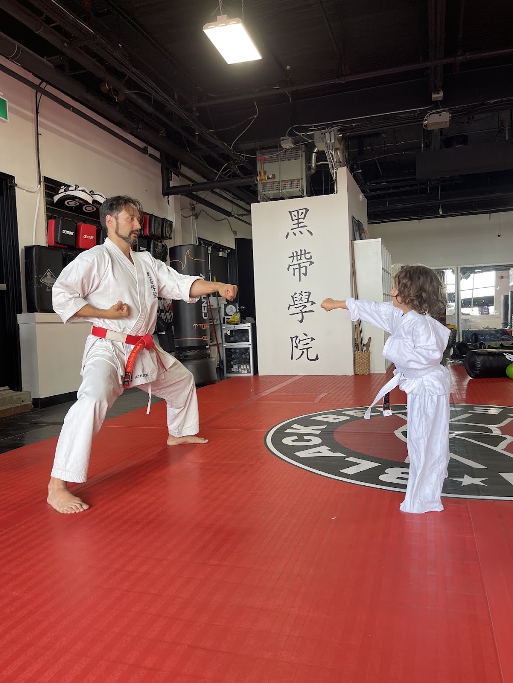 Black Belt Institute | 75 Carl Hall Rd #1001A, Toronto, ON M3K 2B9, Canada | Phone: (647) 952-1495