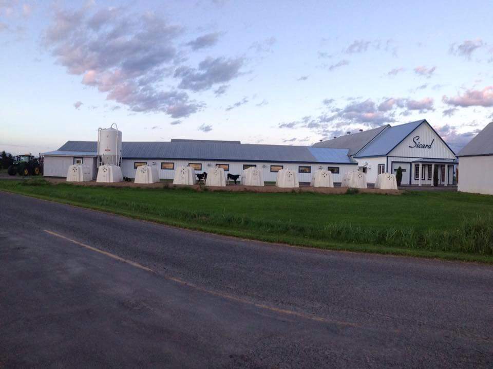 Ferme Yvon Sicard | 241 Rte Gagné, Saint-Justin, QC J0K 2V0, Canada | Phone: (819) 244-4503