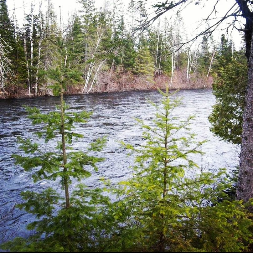 Domaine de la Rivière Mékinac | 235-261 Chemin de la Rivière, Saint-Joseph-de-Mékinac, QC G0X, Canada | Phone: (819) 489-1283