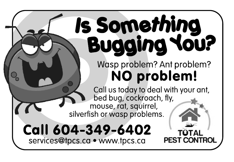 Total Pest Control | 12080 Woodhead Rd, Richmond, BC V6V 1G3, Canada | Phone: (604) 349-6402