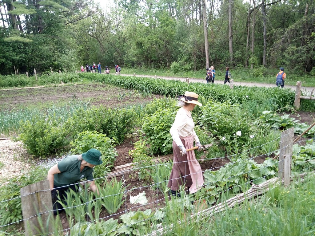 Schneider Creek | Pioneer Park, Kitchener, ON N2P, Canada