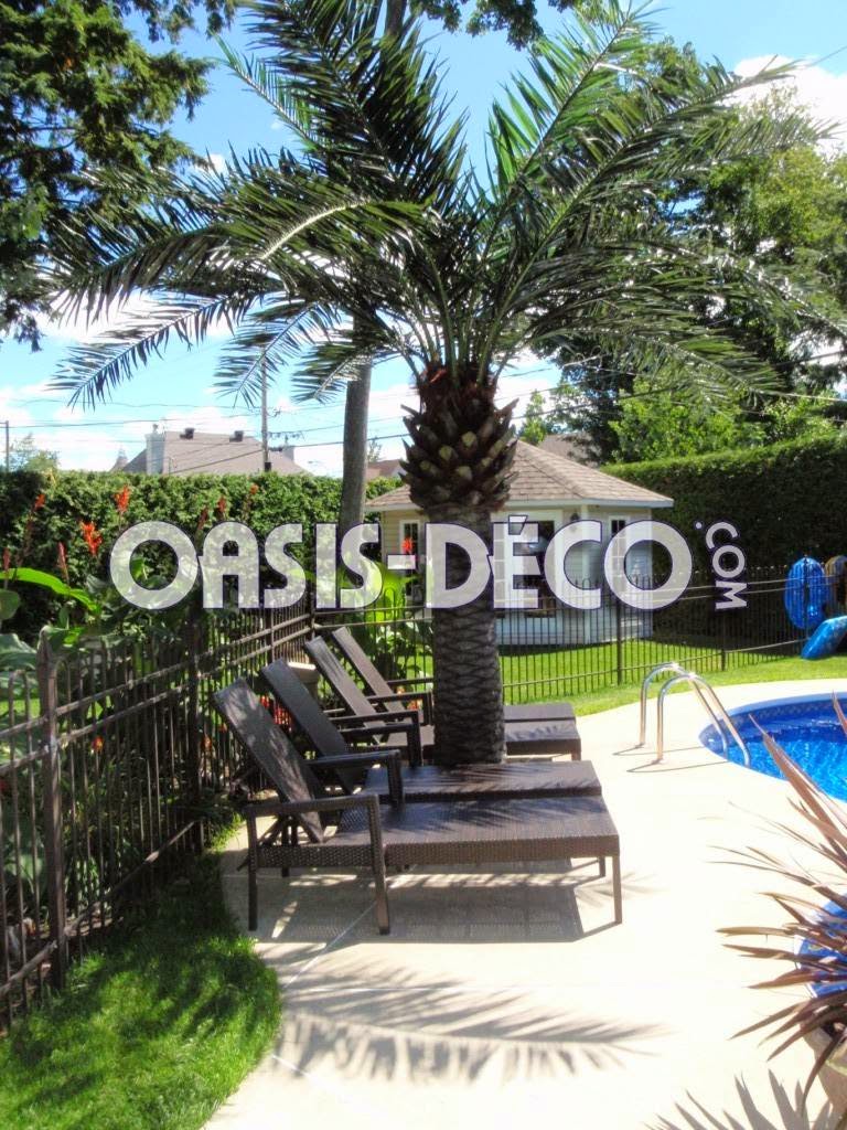 Oasis-Deco = Chute pour piscine / pool waterfall / Palmier palm  | 742 Boulevard Industriel #104, Blainville, QC J7C 3V4, Canada | Phone: (514) 248-0928