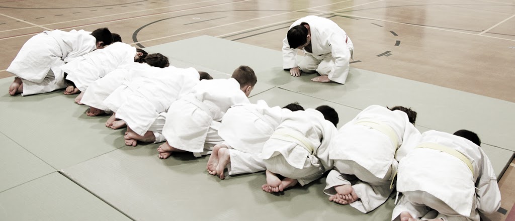 Club de Judo de Terrebonne | 4125 Rue dArgenson, Terrebonne, QC J6X 4T1, Canada | Phone: (514) 924-2618