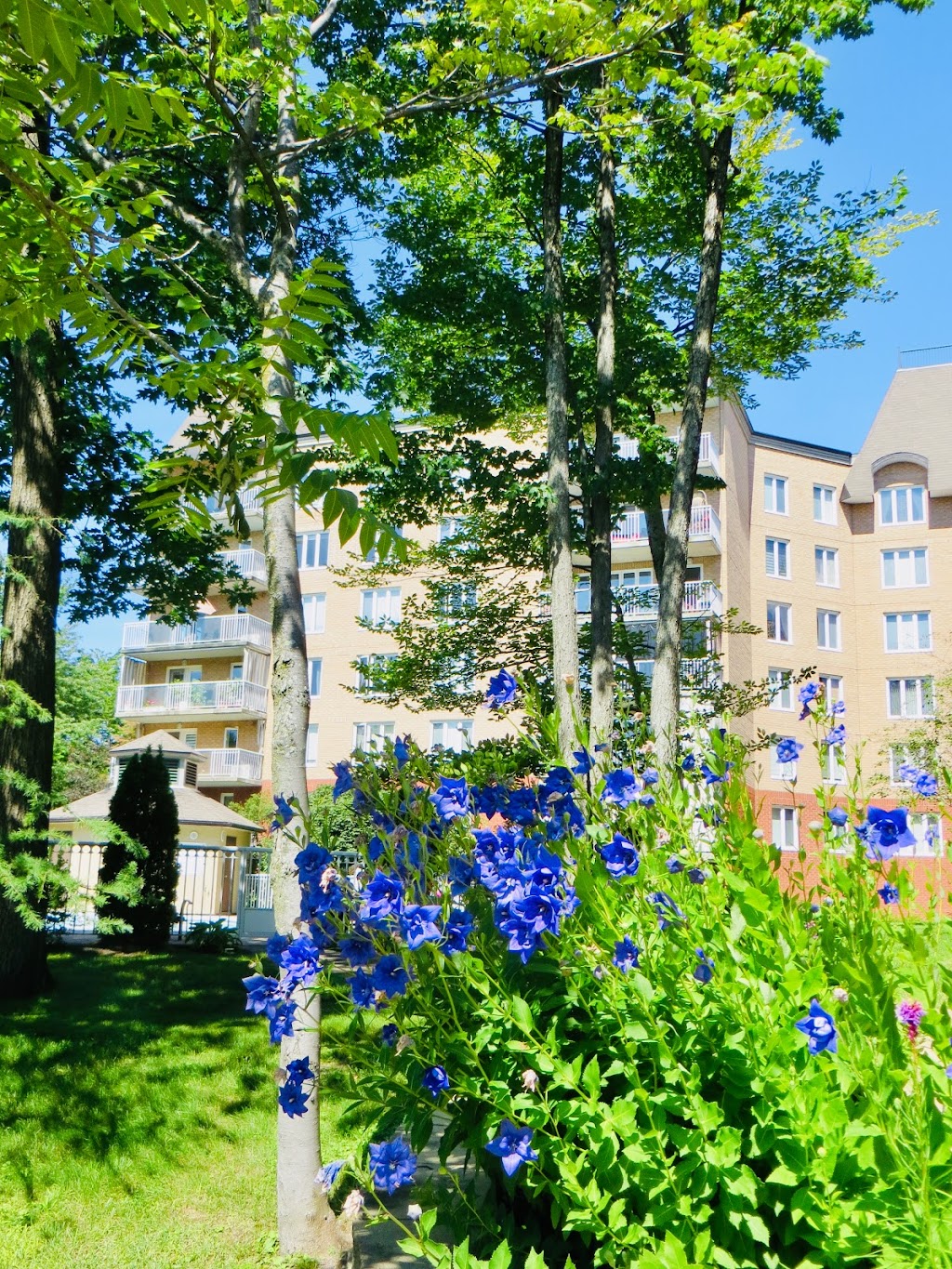 Condos Marly-le-Châtel II | 3767 Rue Gabrielle Vallée, Québec, QC G1W 5B5, Canada | Phone: (418) 571-6963