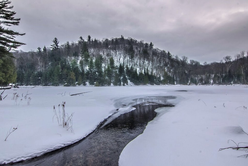 La Forêt Blanche Ecological Reserve | 300 Chemin Saddler, Mayo, QC J8L 4L8, Canada | Phone: (819) 281-6700