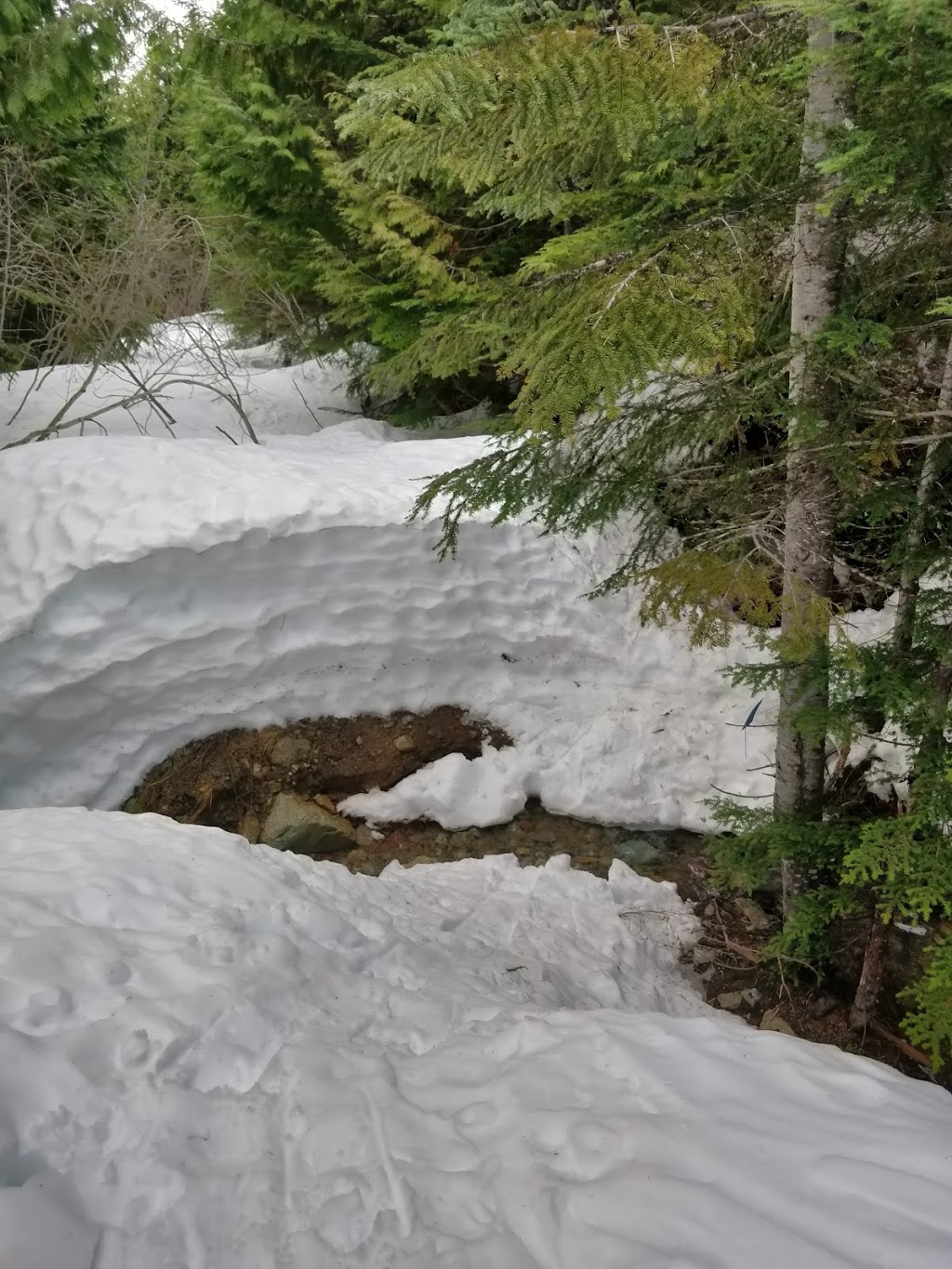 Skyline Ridge Trail | Unnamed Road, Britannia Beach, BC V0N 1J0, Canada