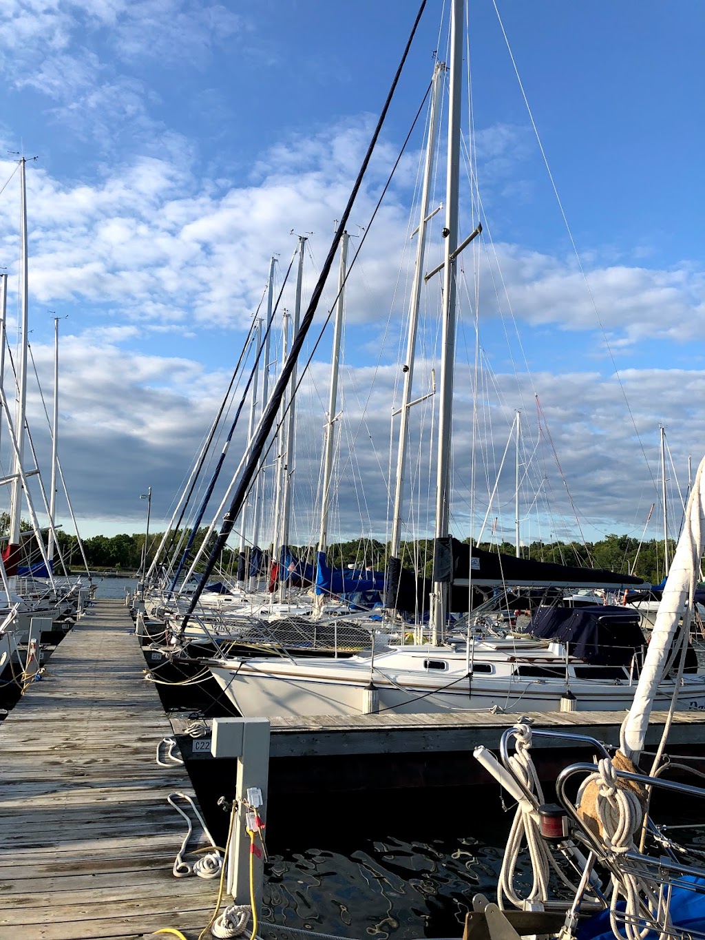 Collins Bay Marina | 1270 Coverdale Dr, Kingston, ON K7M 8X7, Canada | Phone: (888) 748-5557