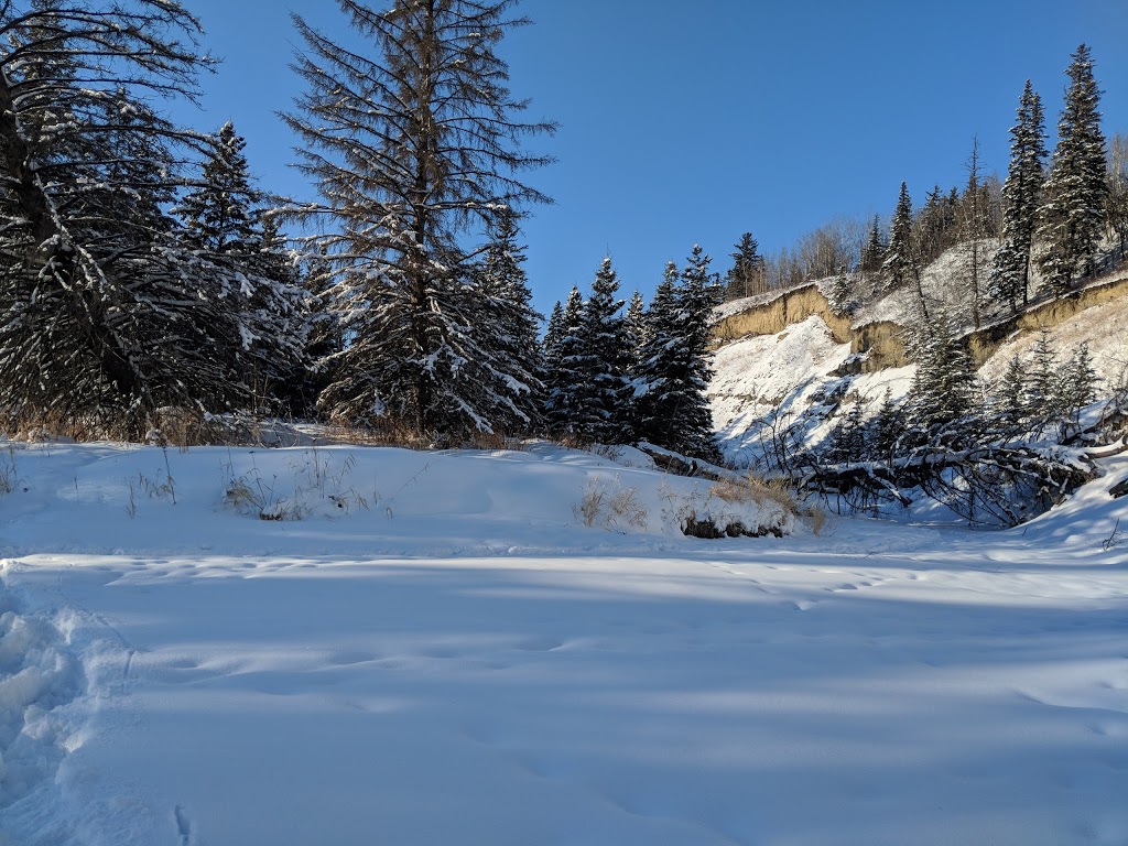 Larch Sanctuary | MacTaggart Sanctuary Trail Loop, Edmonton, AB T6J 5N2, Canada