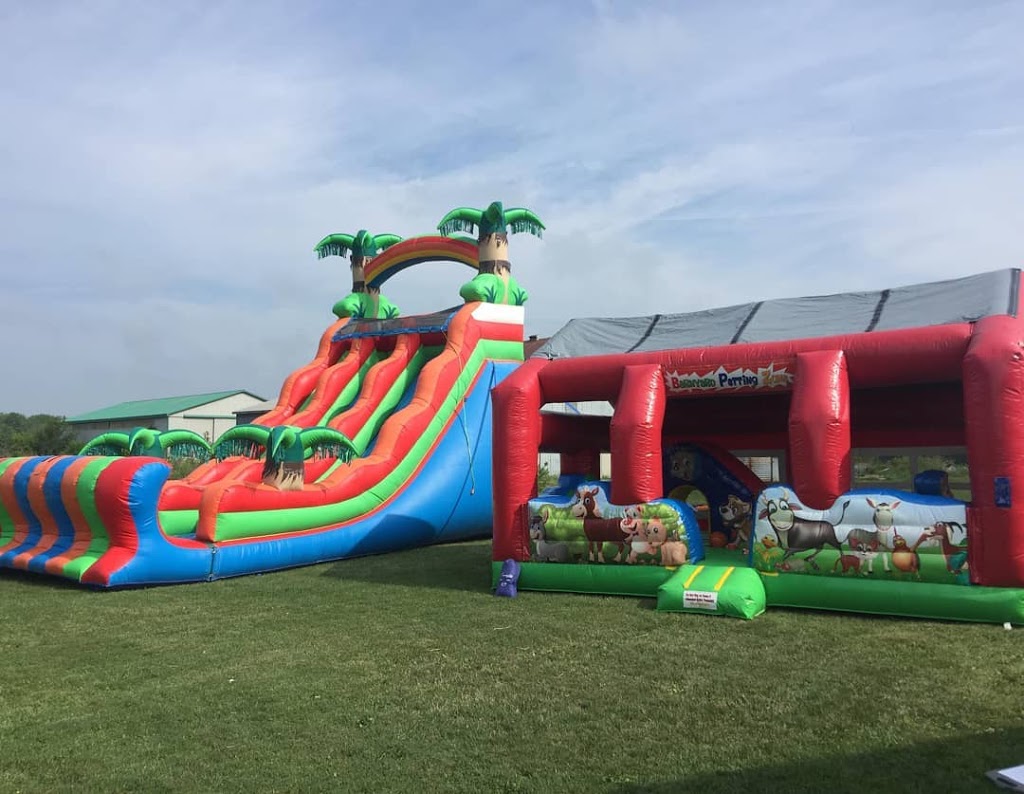 Ashlees Events - Bouncy Castle & Party Rentals | 83 Superior St, Brantford, ON N3S 2K5, Canada | Phone: (519) 900-5062