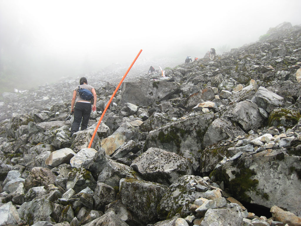 Hanes Valley Boulder Field | Greater Vancouver A, BC V7K 1X8, Canada