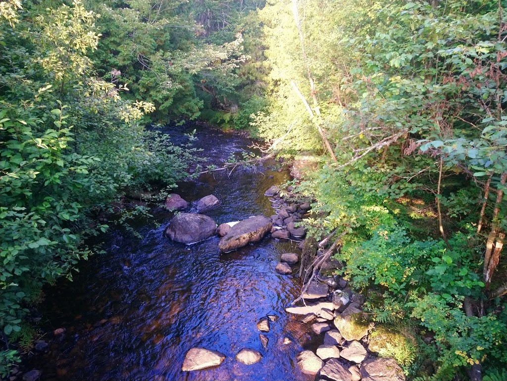 Parc National du Mont-Tremblant - Accueil LAssomption | 5045 Route de la Ferme, Coin-Lavigne, QC J0K 2B0, Canada | Phone: (450) 883-1291