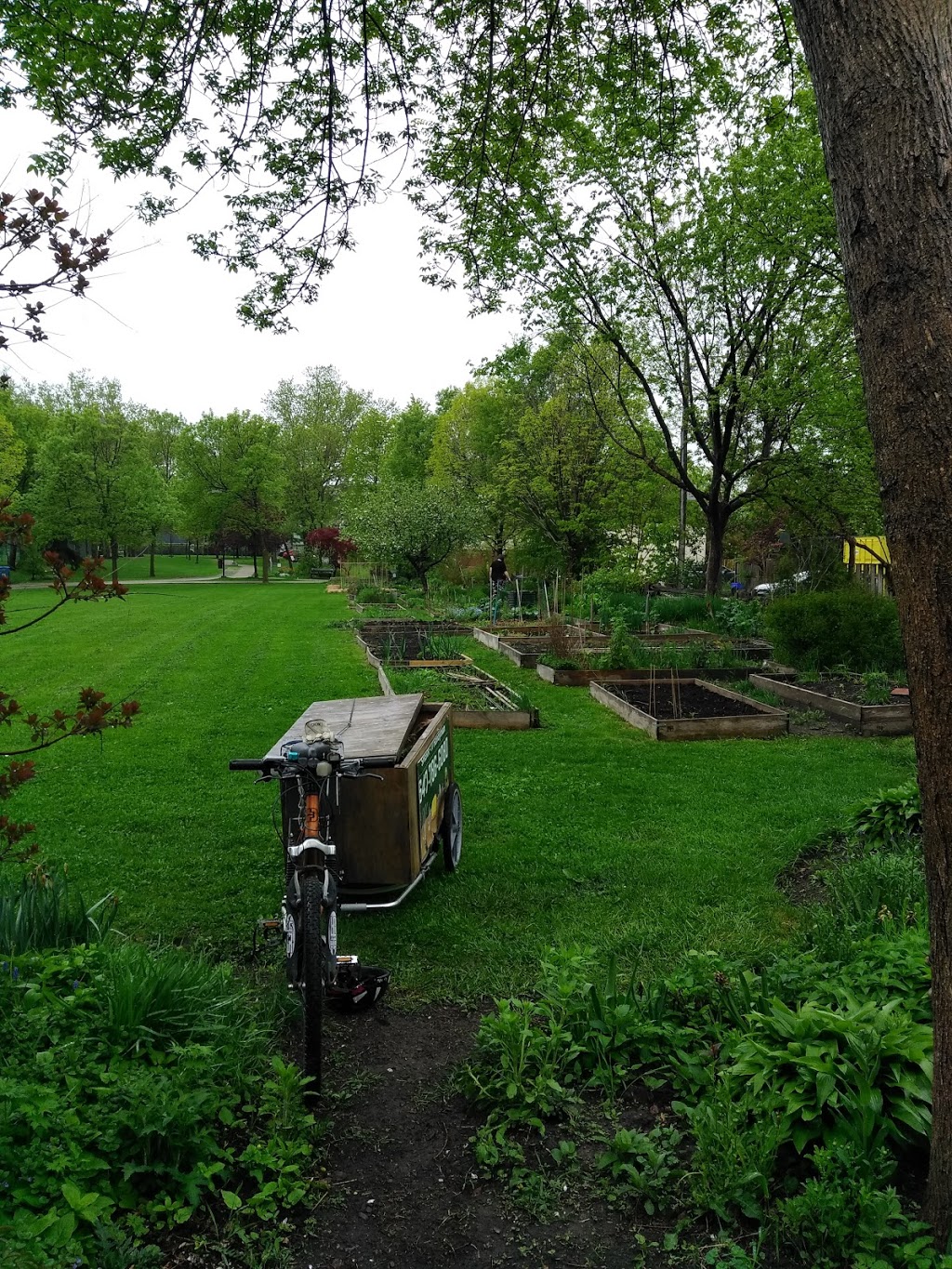 Oakvale Green Community Gardens | 77 Oakvale Ave, Toronto, ON M4J 1J1, Canada | Phone: (416) 338-4386