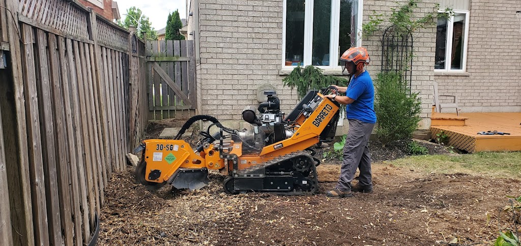 Green Canopy Tree Services | 19 Silvershadow Terrace, Brampton, ON L6R 0E6, Canada | Phone: (416) 302-2803