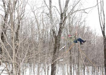 Altitude Arboriculture | 40 Chem. des Lacs, Lac-Beauport, QC G3B 1C2, Canada | Phone: (418) 849-1882