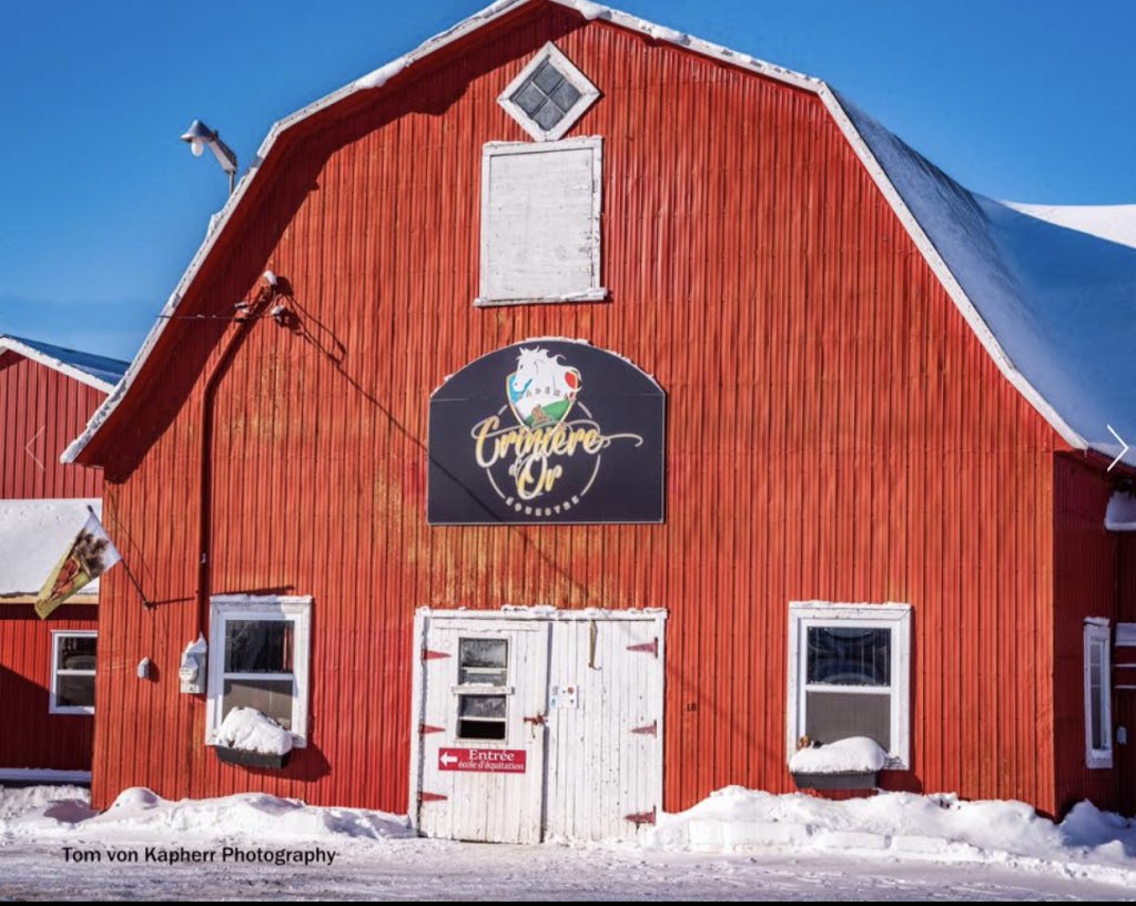 Académie équestre la crinière d’or | 300 Chemin René #84, Granby, QC J2J 0K2, Canada | Phone: (579) 488-0772