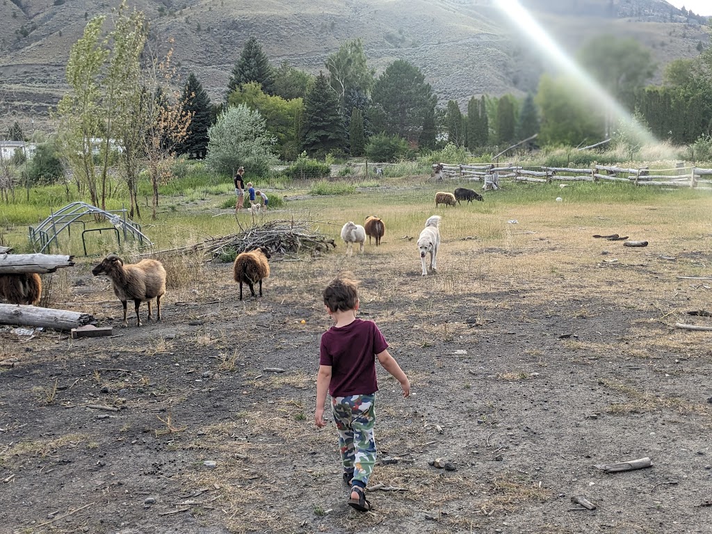 Moonlit Ridge Farm | 1274 Nugget Rd, Cache Creek, BC V0K 1H1, Canada | Phone: (250) 202-6842