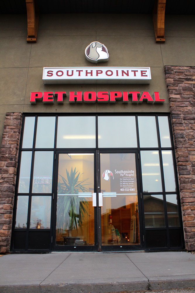 Southpointe Pet Hospital | 4600 130 Ave SE #210, Calgary, AB T2Z 0C2, Canada | Phone: (403) 532-0085