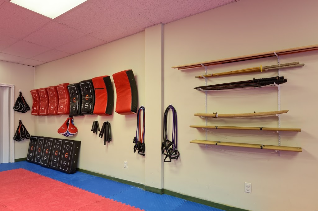 Rodney Hobson Karate Academy | 239 Rutland Rd N, Kelowna, BC V1X 3B1, Canada | Phone: (250) 491-8313