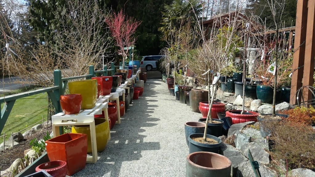 Sunshine Coast Nursery | 1826 Sunshine Coast Hwy, Roberts Creek, BC V0N 2W5, Canada | Phone: (604) 886-2796