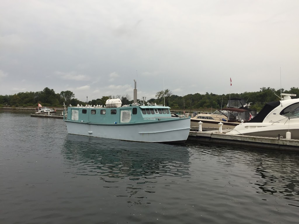 Kingston Dive Charters | Bath Rd, Kingston, ON K7M 5C9, Canada | Phone: (613) 532-6548