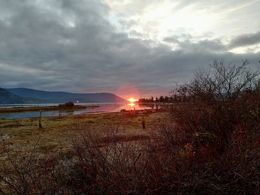 Cow monument | 5101-5105 Westcan Terminal Rd, Duncan, BC V9L, Canada