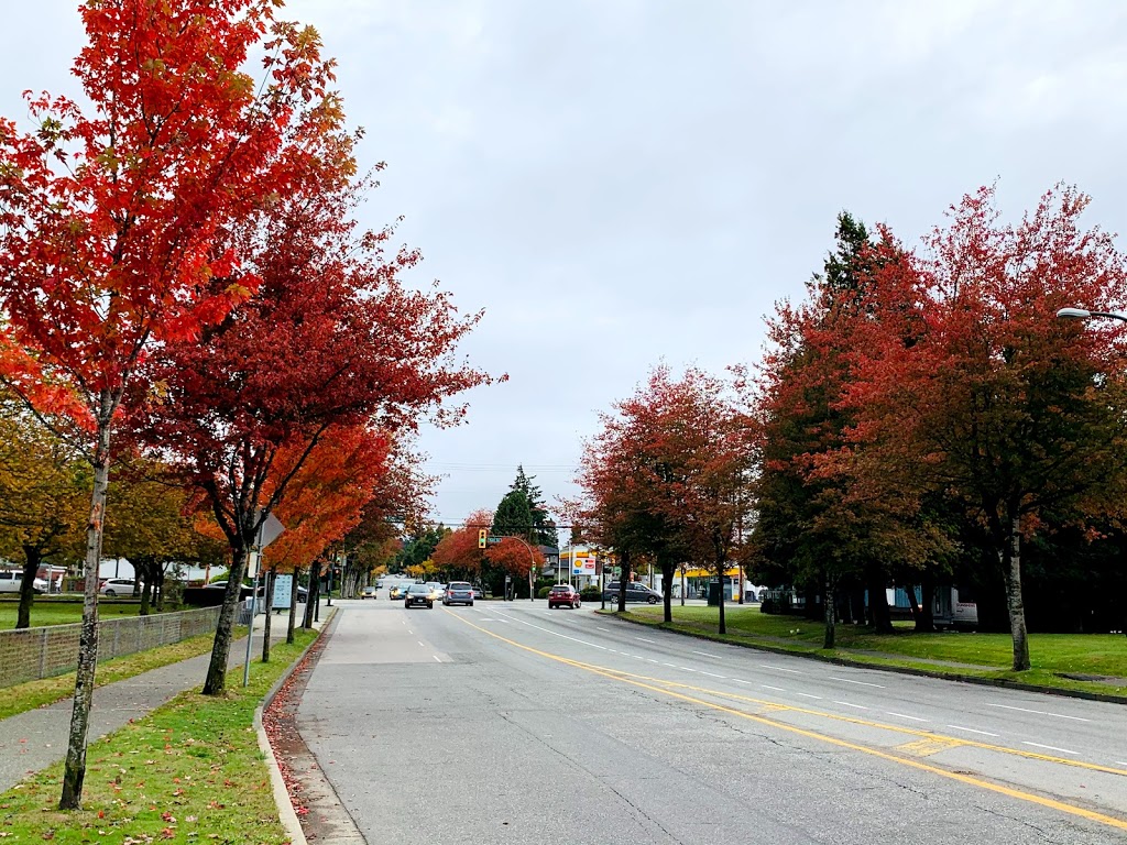 Killarney Community Centre | 6260 Killarney St, Vancouver, BC V5S 2X7, Canada | Phone: (604) 718-8200