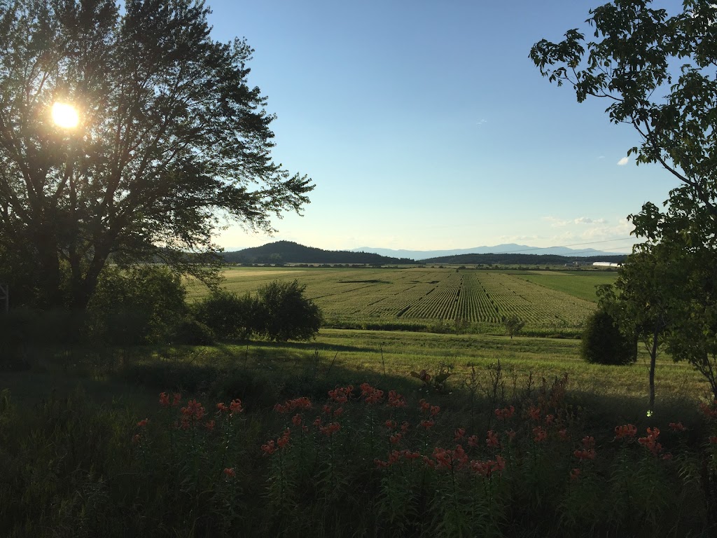 Grand labyrinthe Kamouraska | 1210 QC-132, La Pocatière, QC G0R 1Z0, Canada | Phone: (418) 790-2022